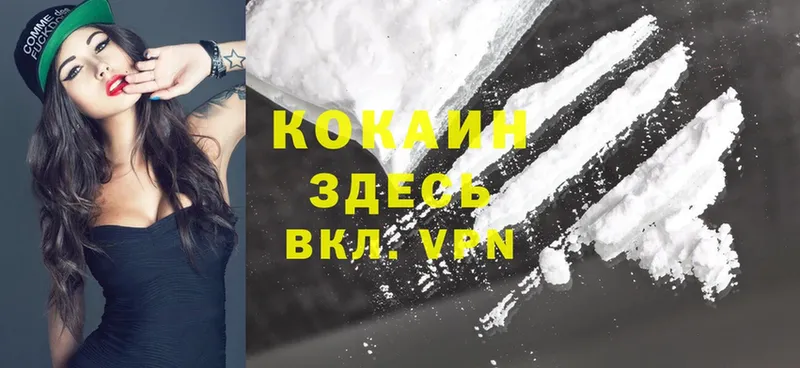 как найти наркотики  Михайловск  Cocaine Боливия 